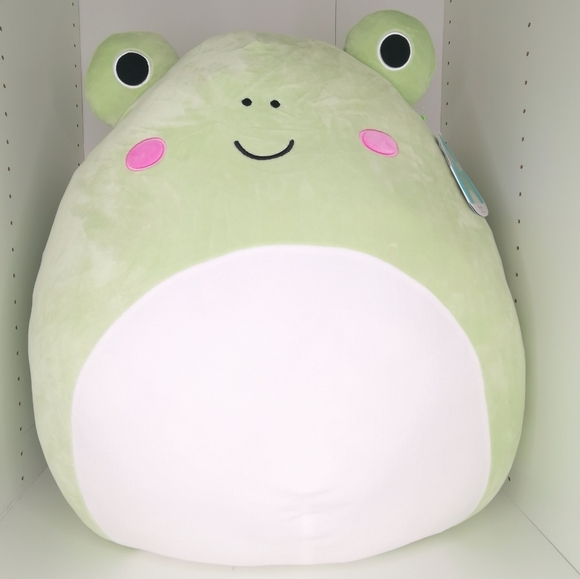 24 frog squishmallow